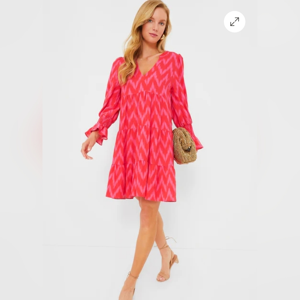 Pomander Place Hot Pink Ikat Kenzo Dress - Picture 4 of 12